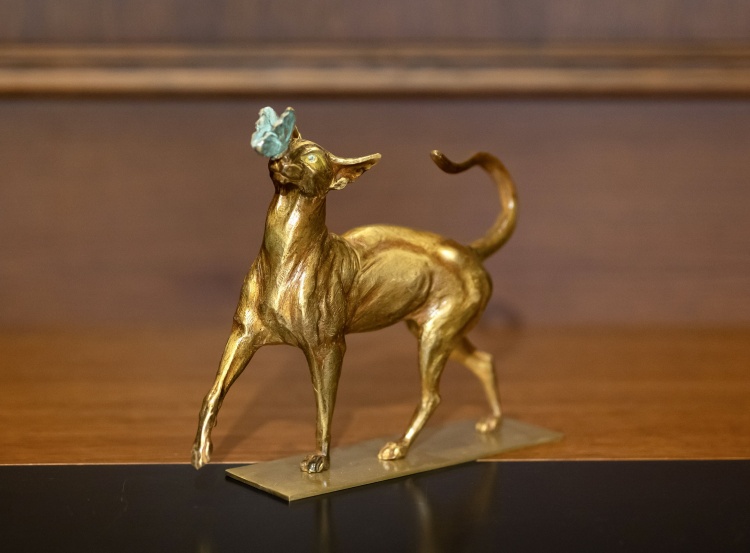 Кошка с бабочкой