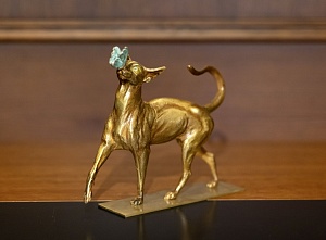 Кошка с бабочкой